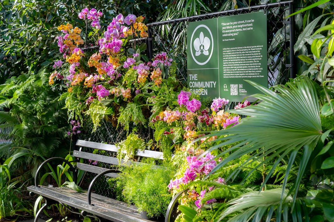New York Botanical Garden Ticket Price