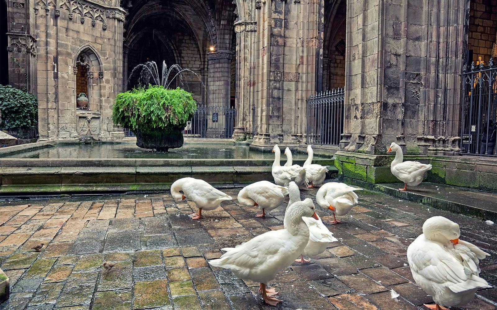 Barcelona Cathedral Ticket Category