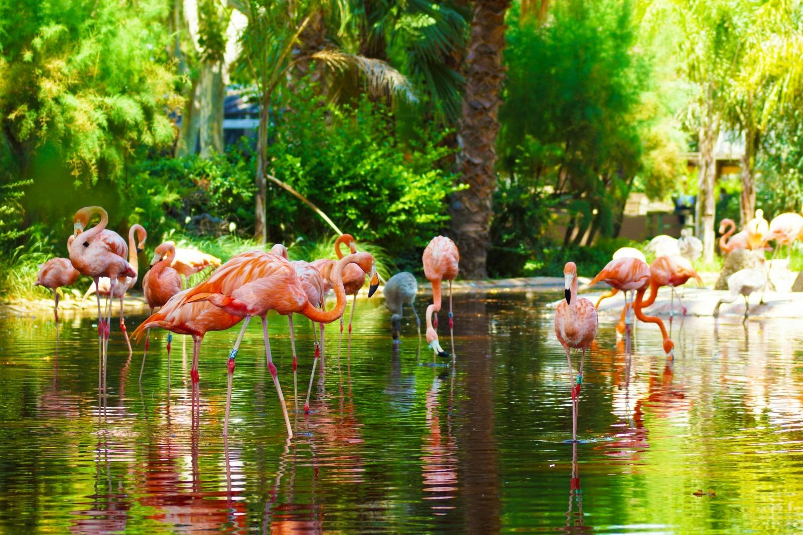 Barcelona Zoo Ticket Review