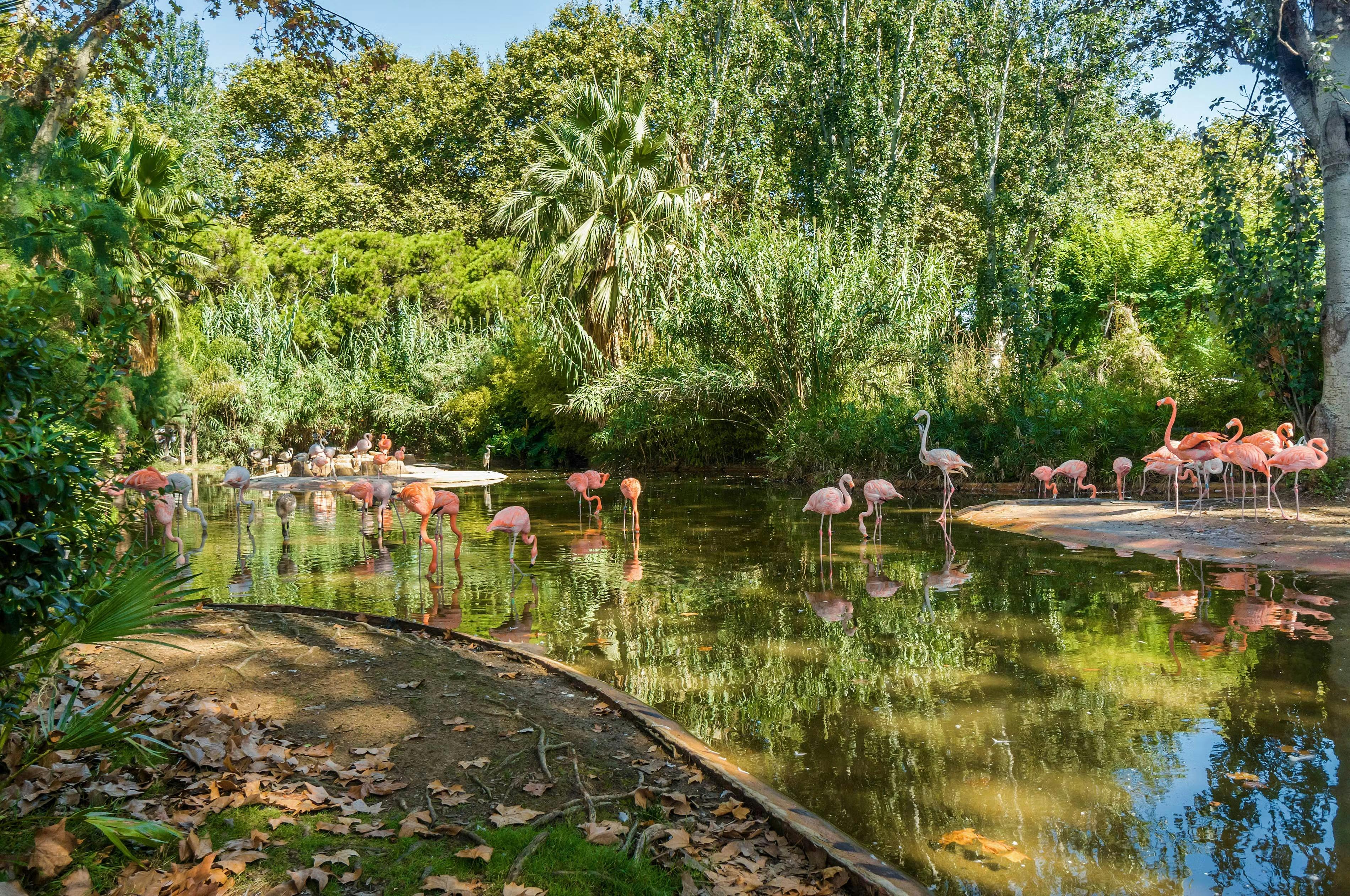 Barcelona Zoo Ticket Ticket