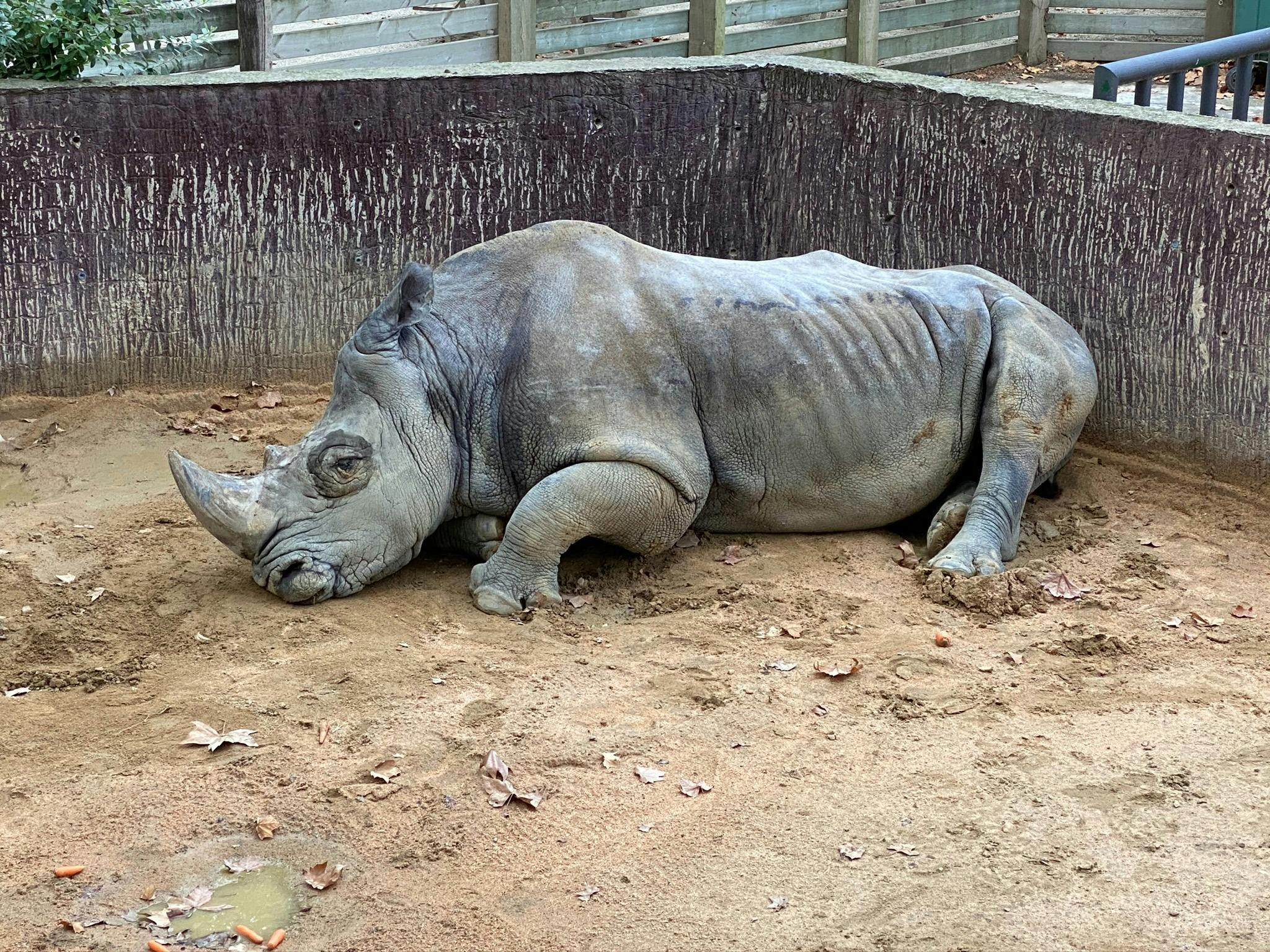 Barcelona Zoo Ticket Location