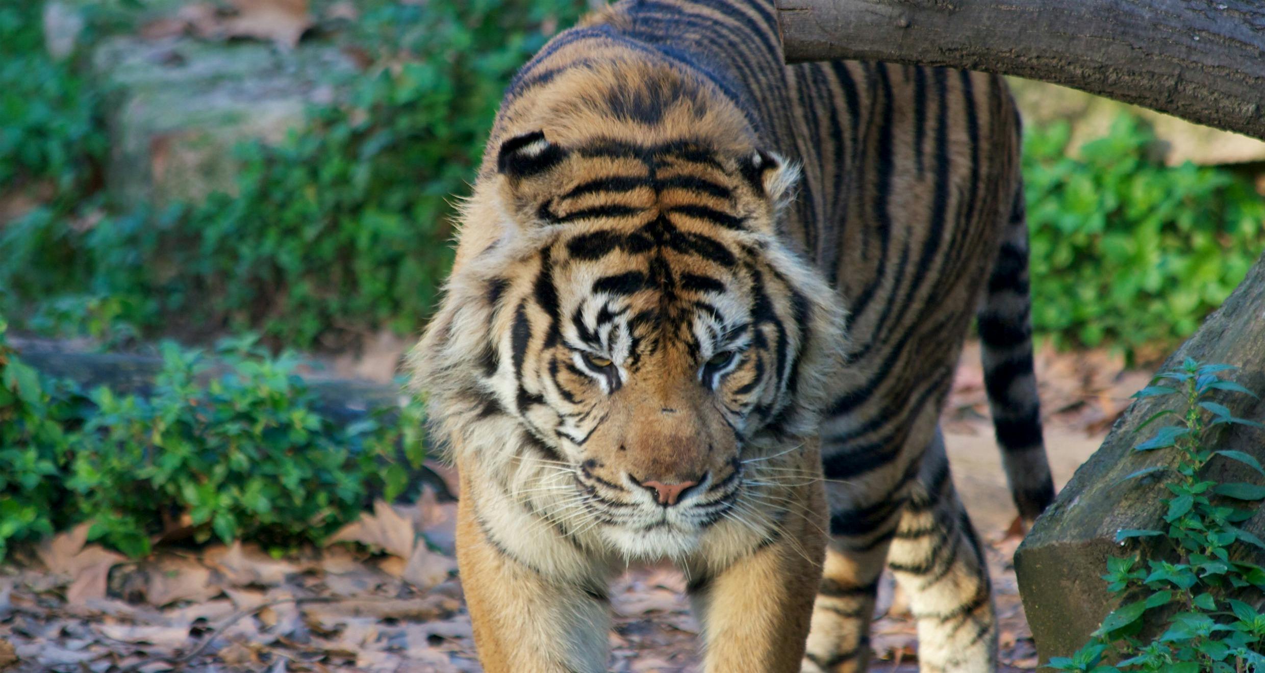 Barcelona Zoo Ticket Discount