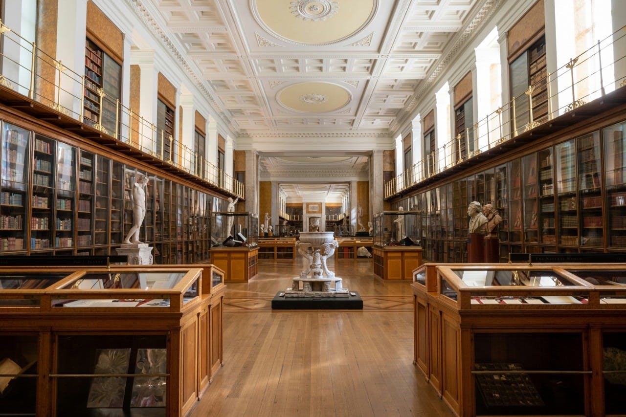 British Museum + Moco Museum London Ticket Price