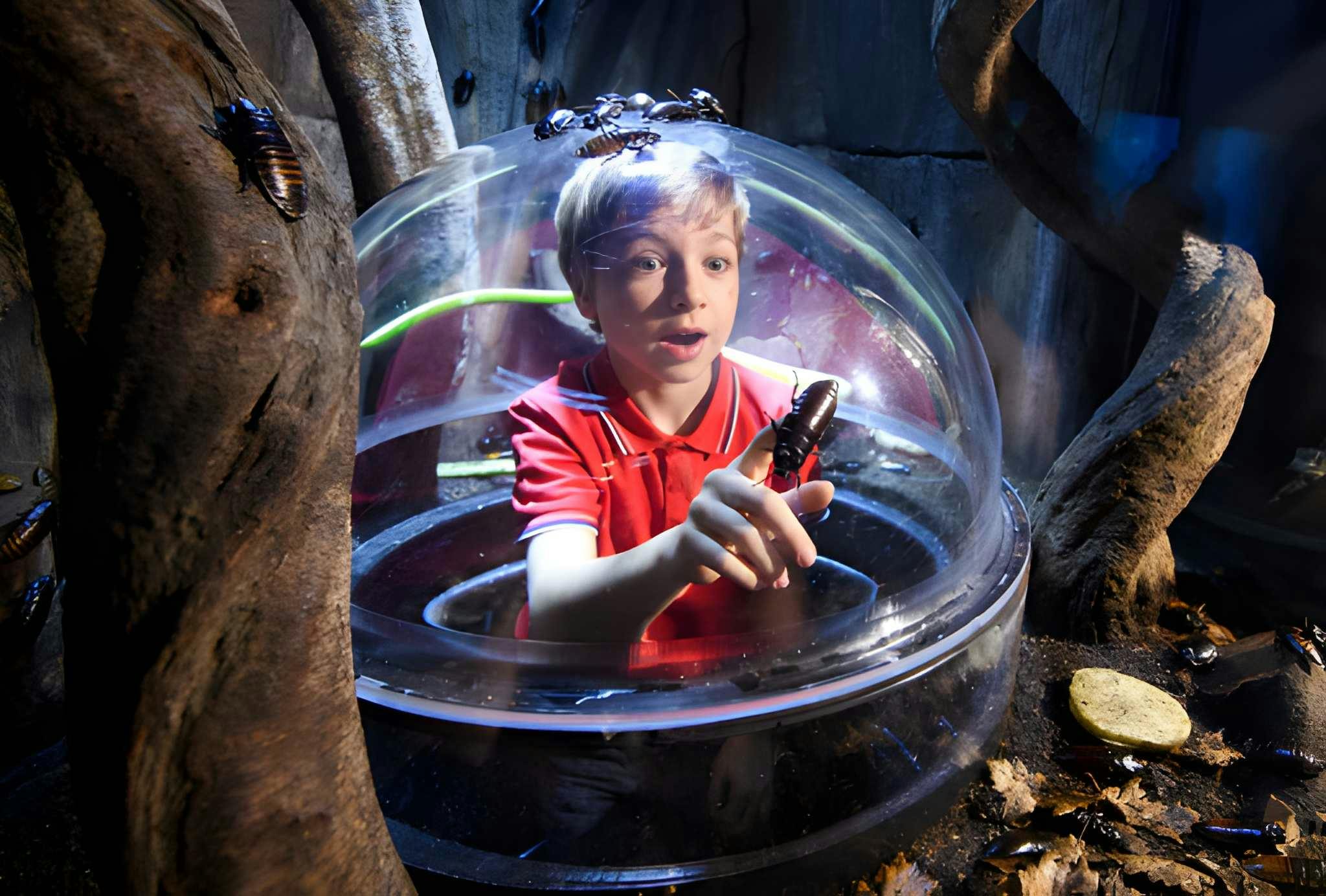 Sea Life London Aquarium + Madame Tussauds Combo Ticket Discount
