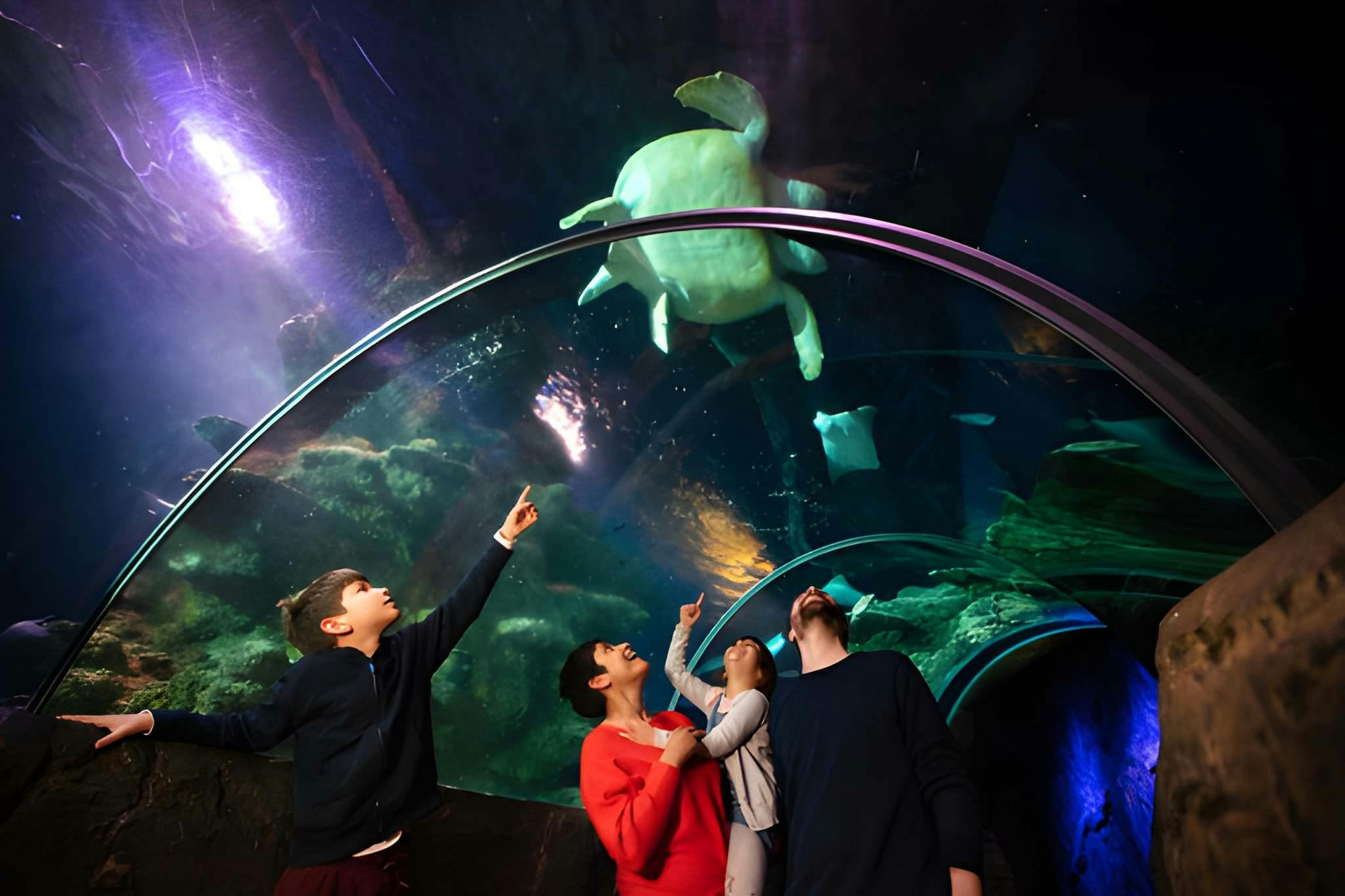 Sea Life London Aquarium + Madame Tussauds Combo Ticket Ticket