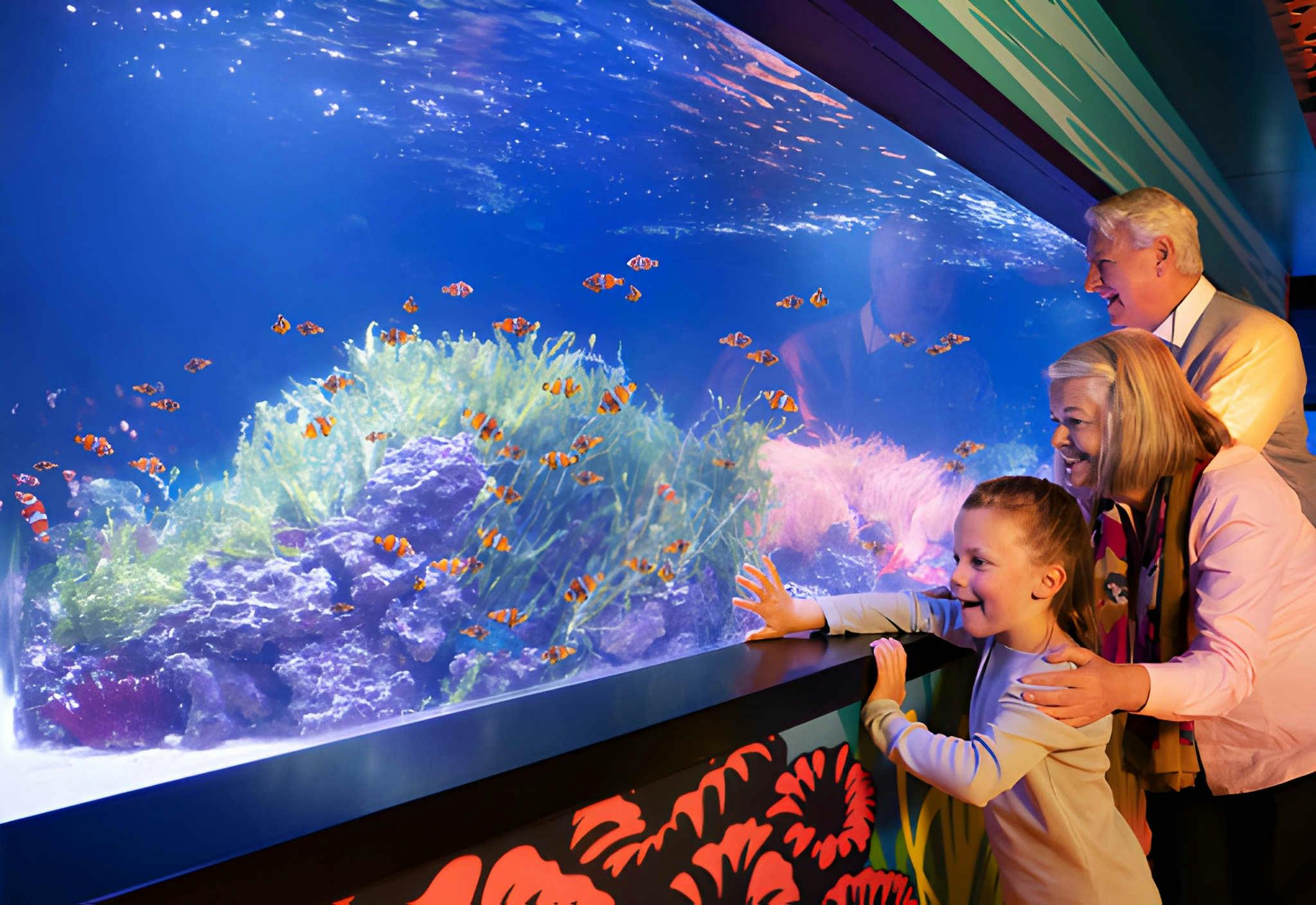Sea Life London Aquarium + Madame Tussauds Combo Ticket Category