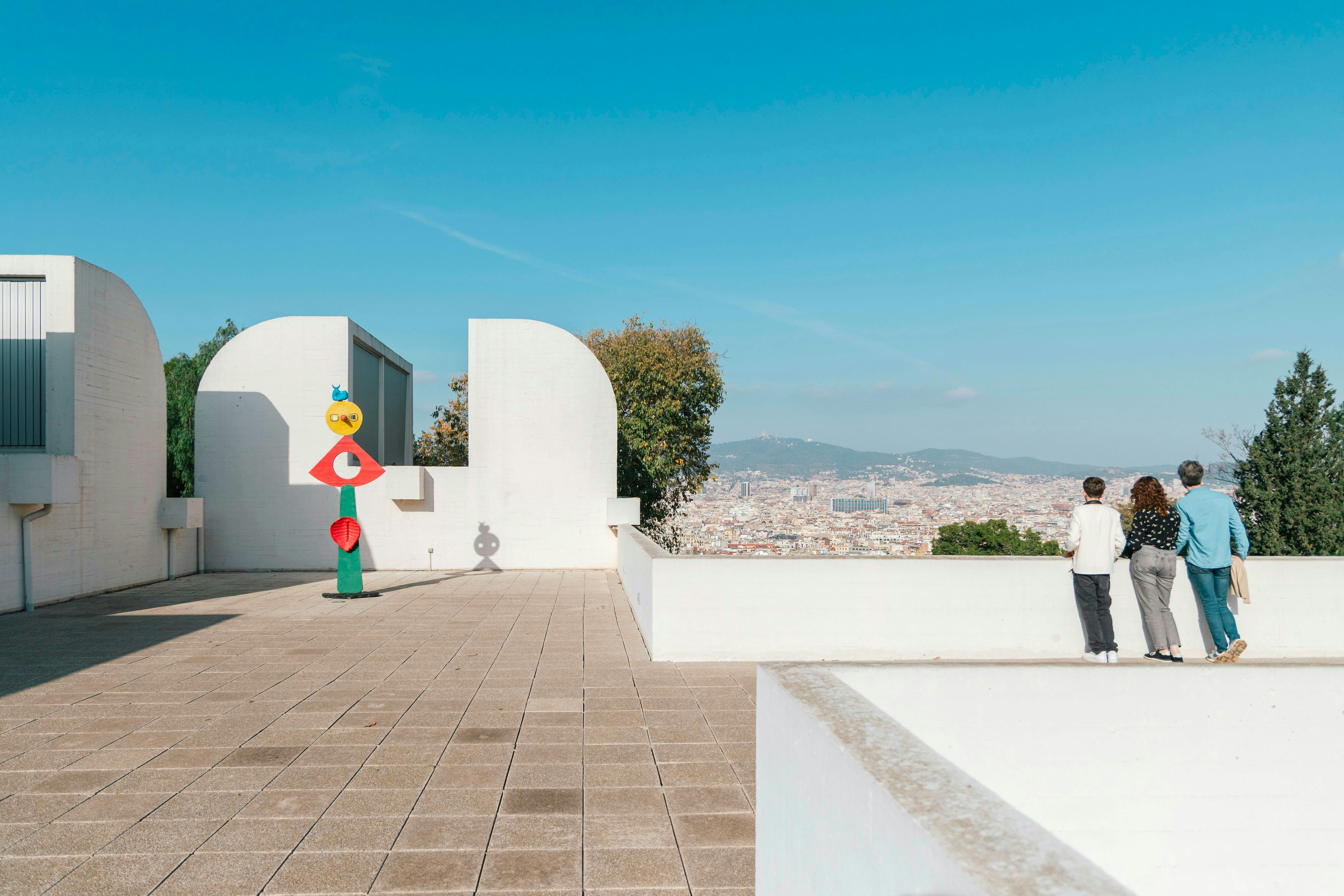 MACBA Barcelona Museum of Contemporary Art Entry Ticket