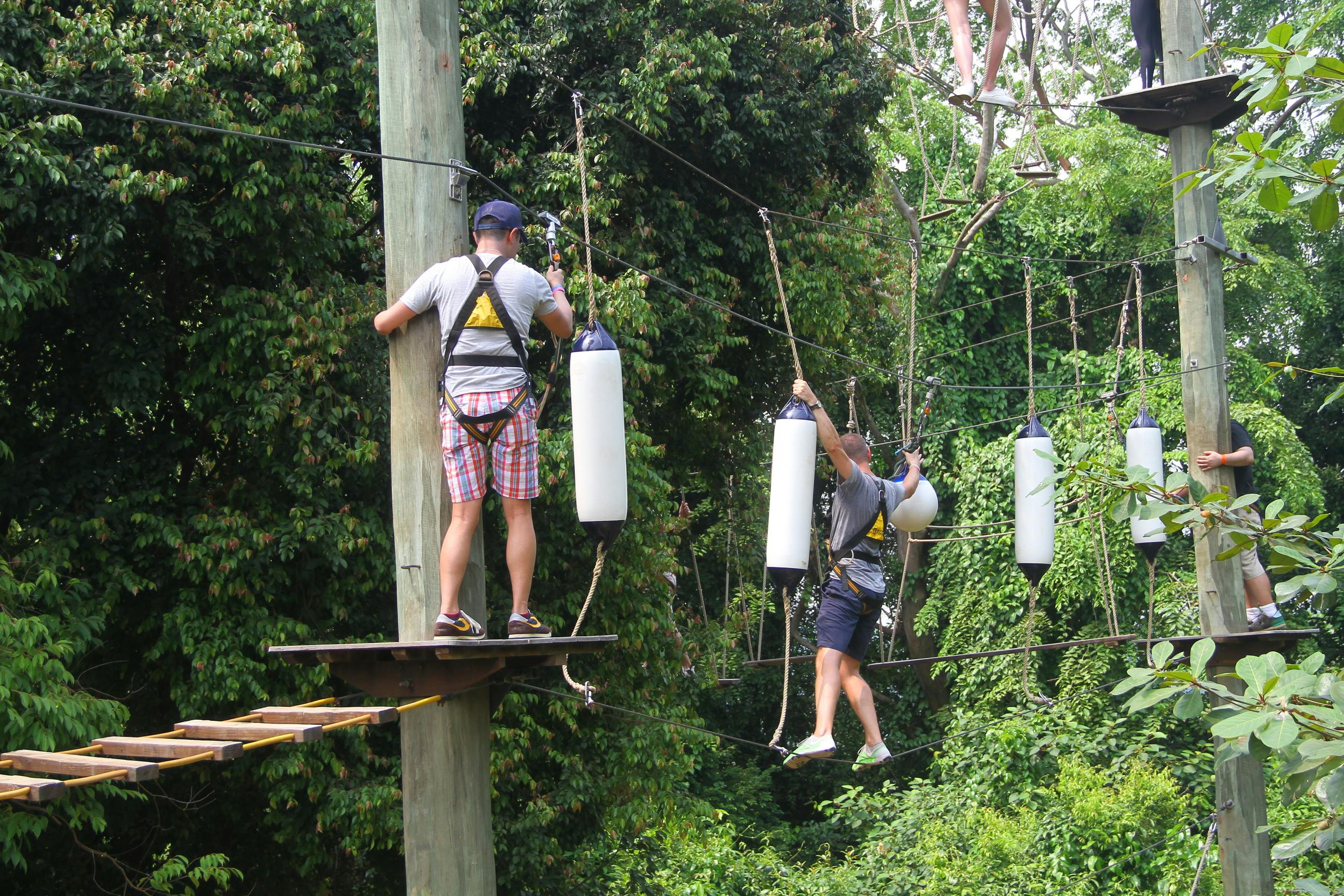 Mega Adventure Park Category