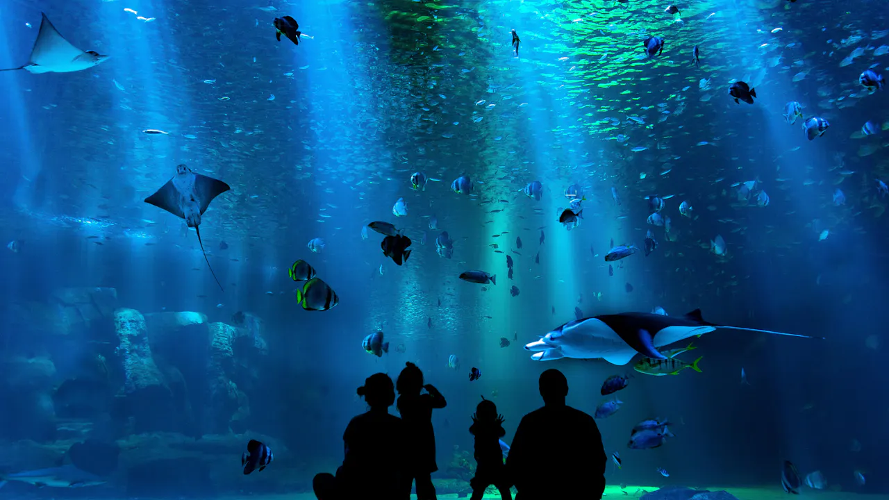 s.e.a. aquarium tickets