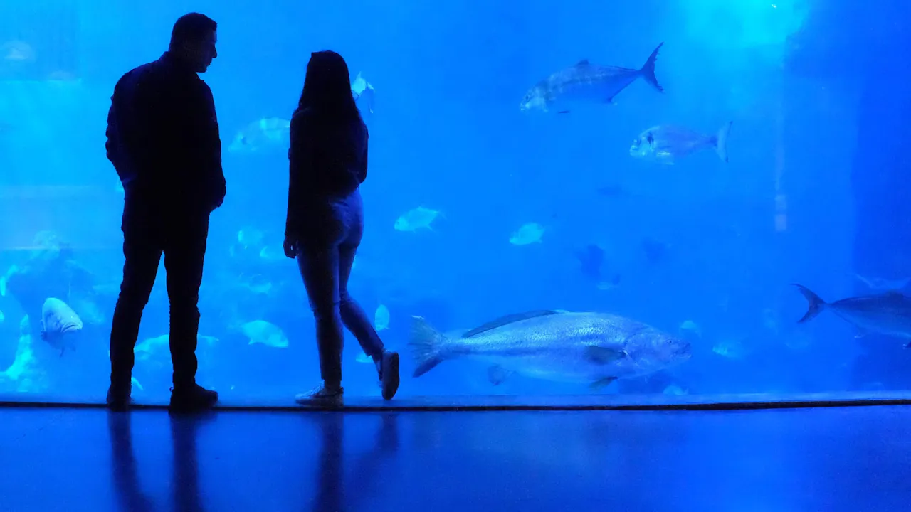 singapore aquarium