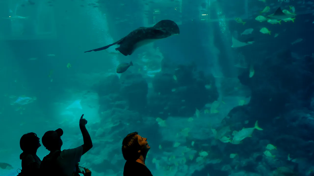 s.e.a. aquarium singapore