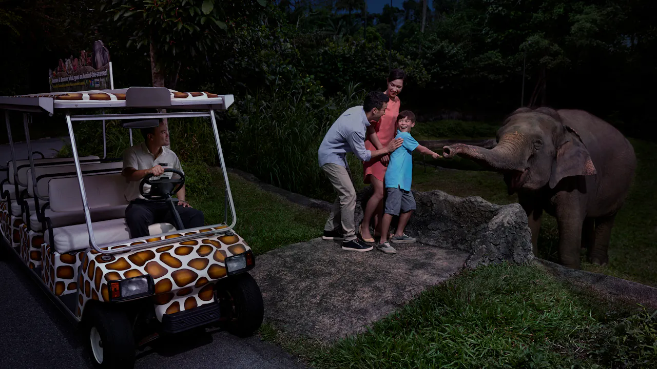 night safari singapore photos