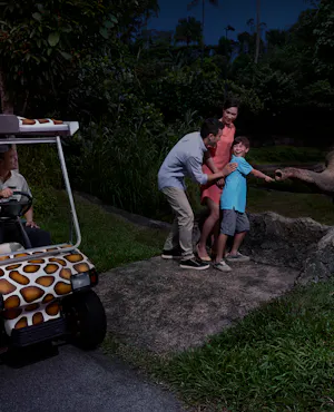 Singapore Night Safari Tickets with Tram Ride