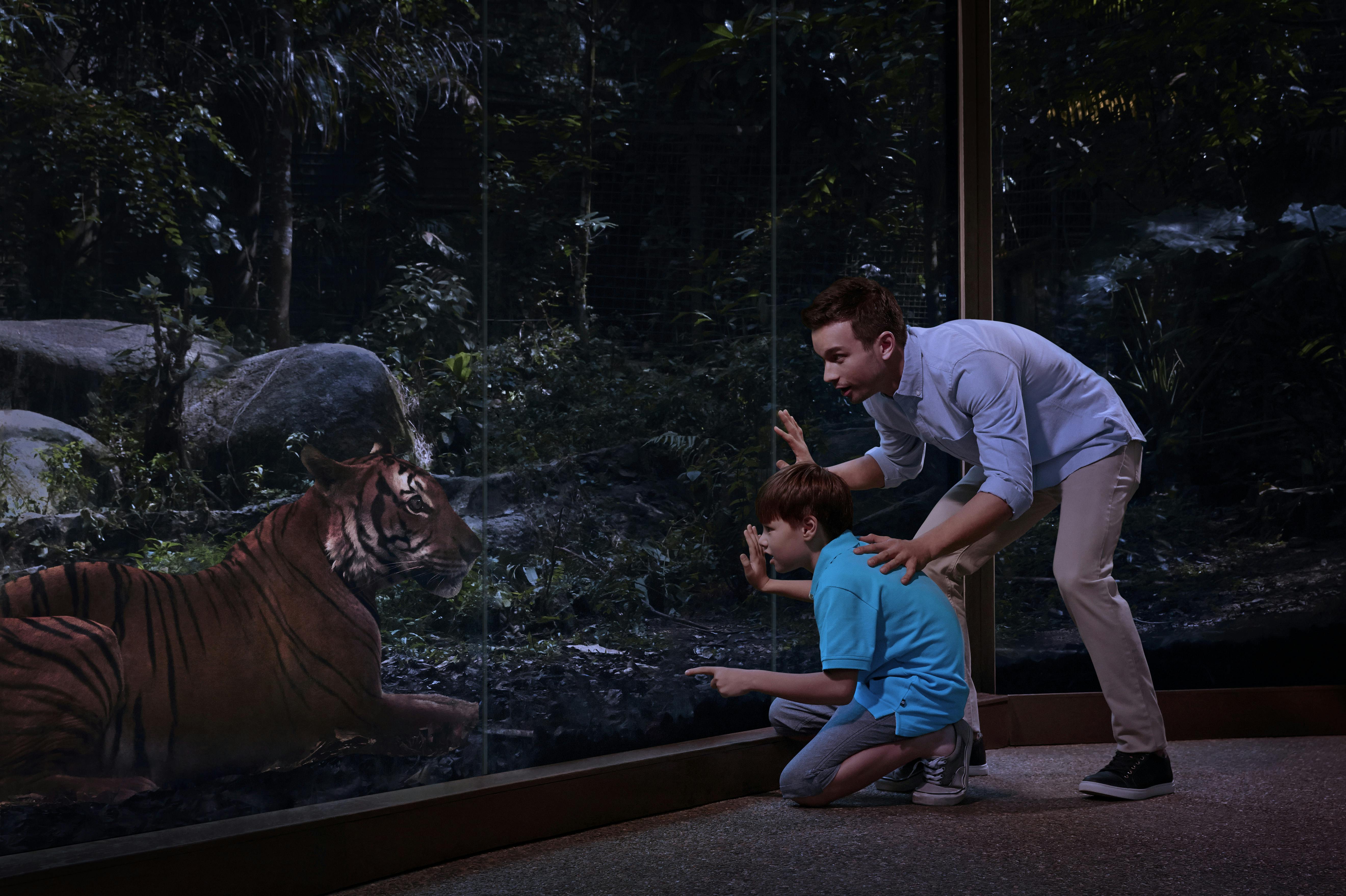 night safari singapore duration