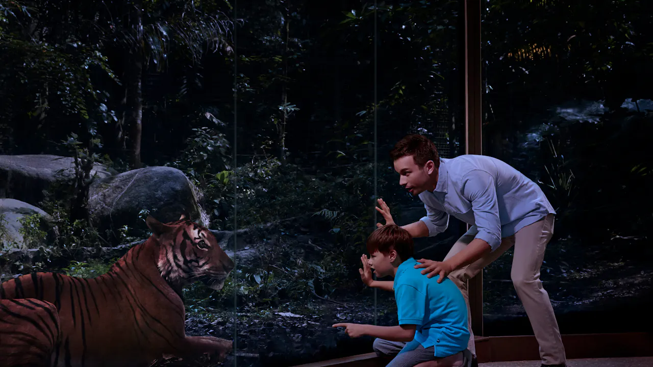 night safari singapore duration