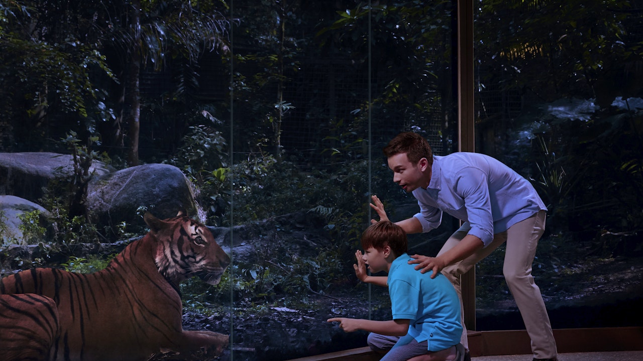 night safari singapore duration