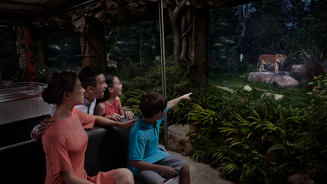 Singapore Night Safari