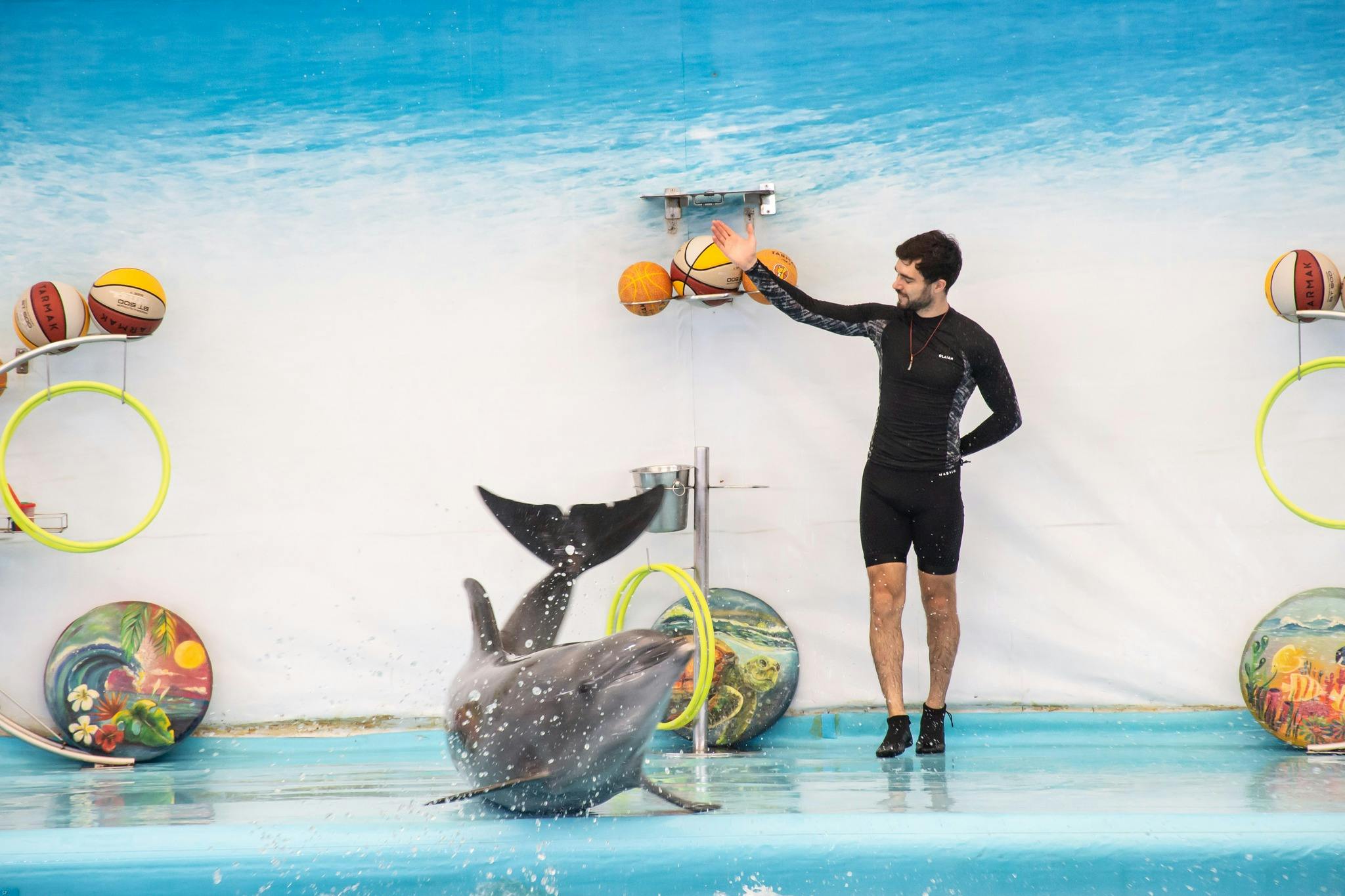 Dolphin Show Phuket Tickets Review