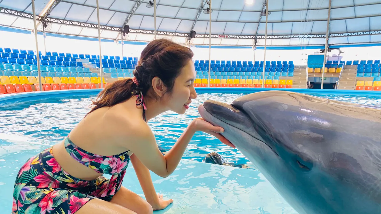 Dolphin Show Phuket Tickets Discount