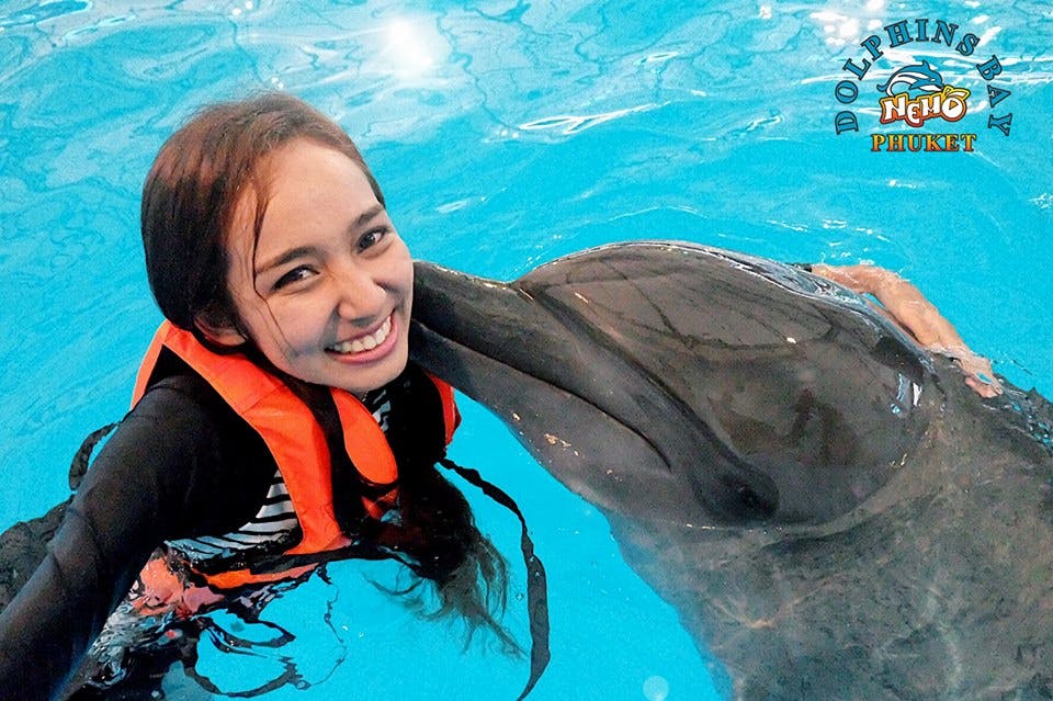 Dolphin Bay - Phuket Dolphin Show Ticket Ticket