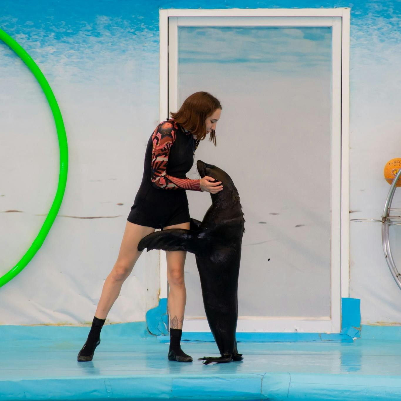 Dolphin Show Phuket Tickets Category