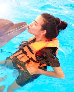 Phuket Dolphin Show Tickets