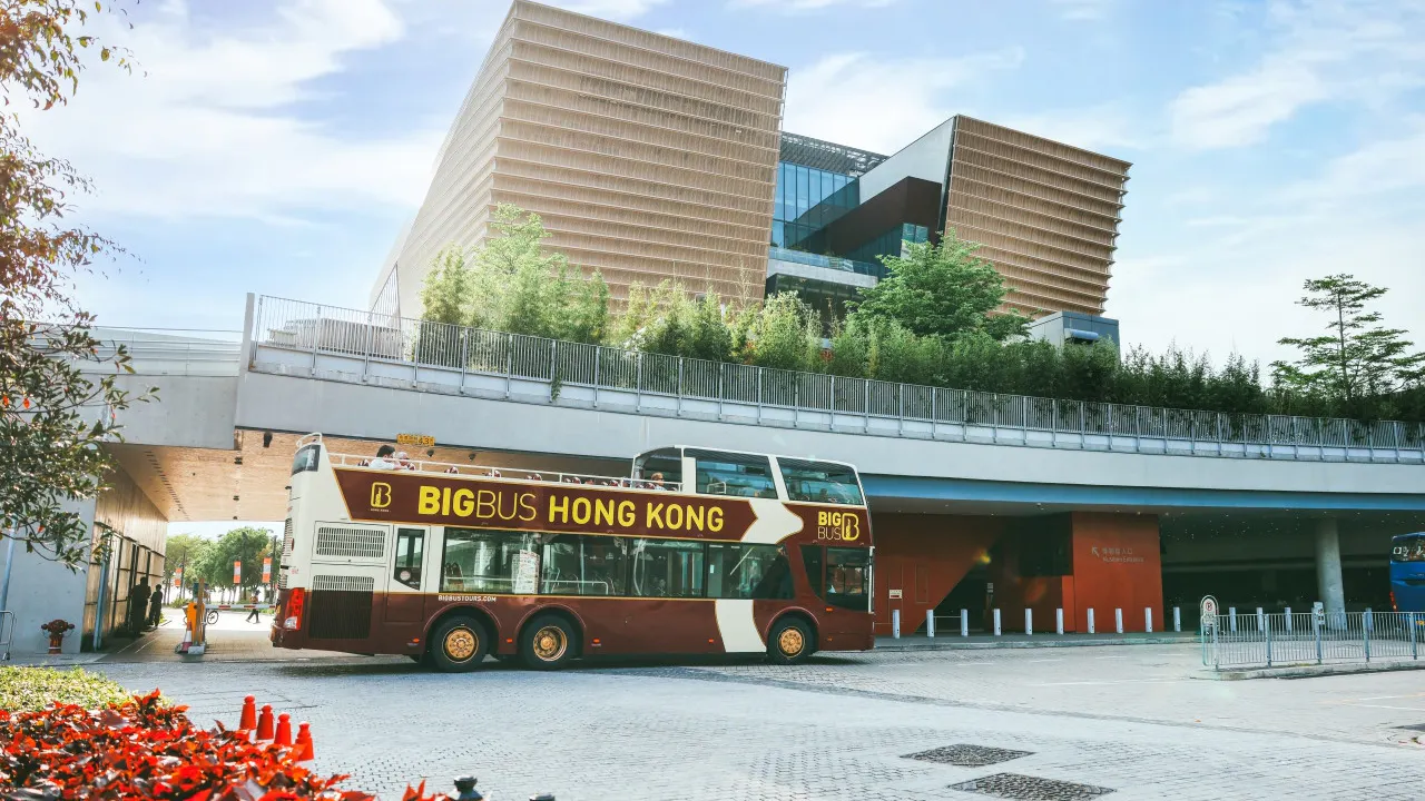 Big Bus Hong Kong Open-Top Night Tour Thrillark