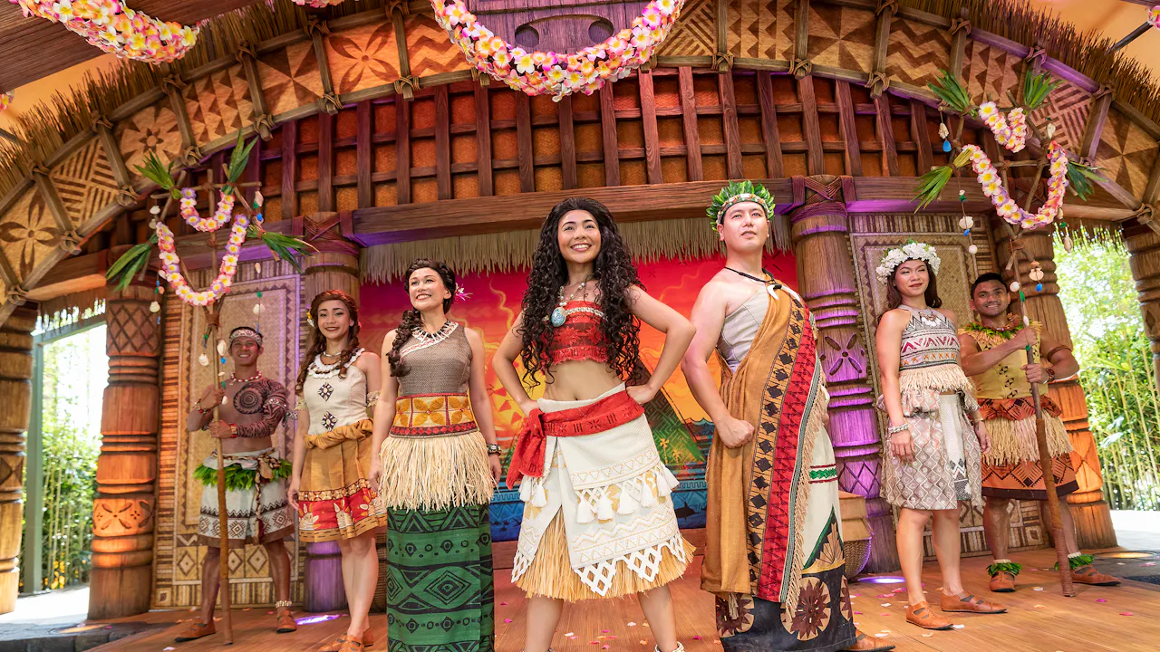 Hong Kong Dinseyland Ticket