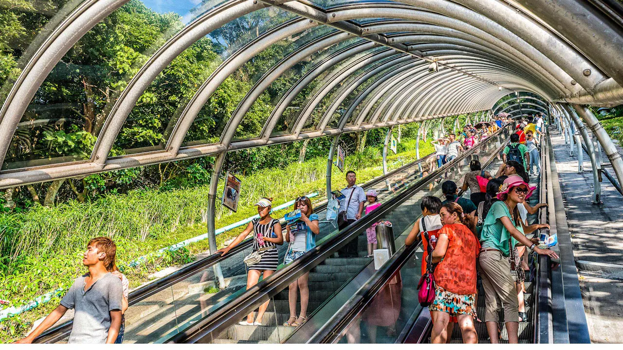 Hong Kong Ocean Park Category