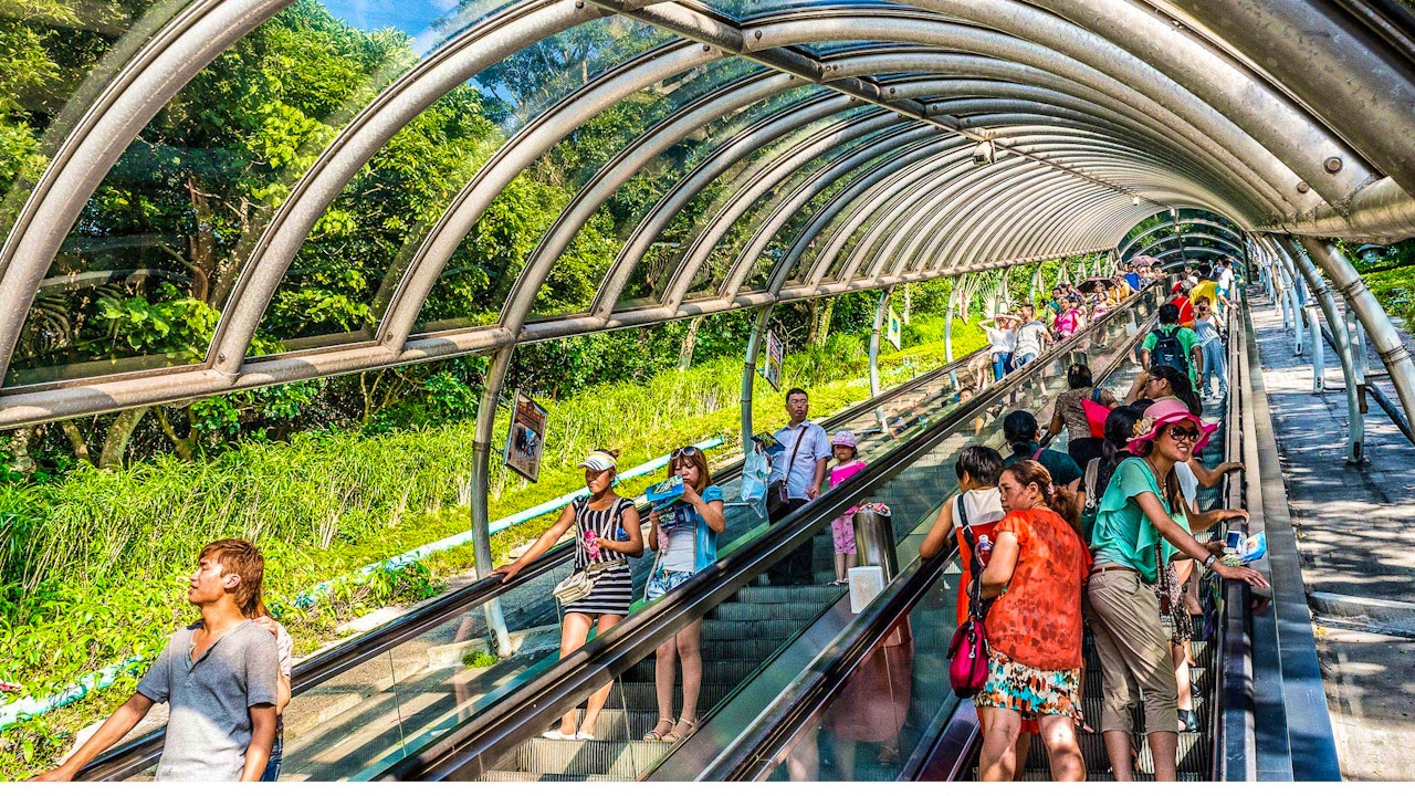 Hong Kong Ocean Park Category