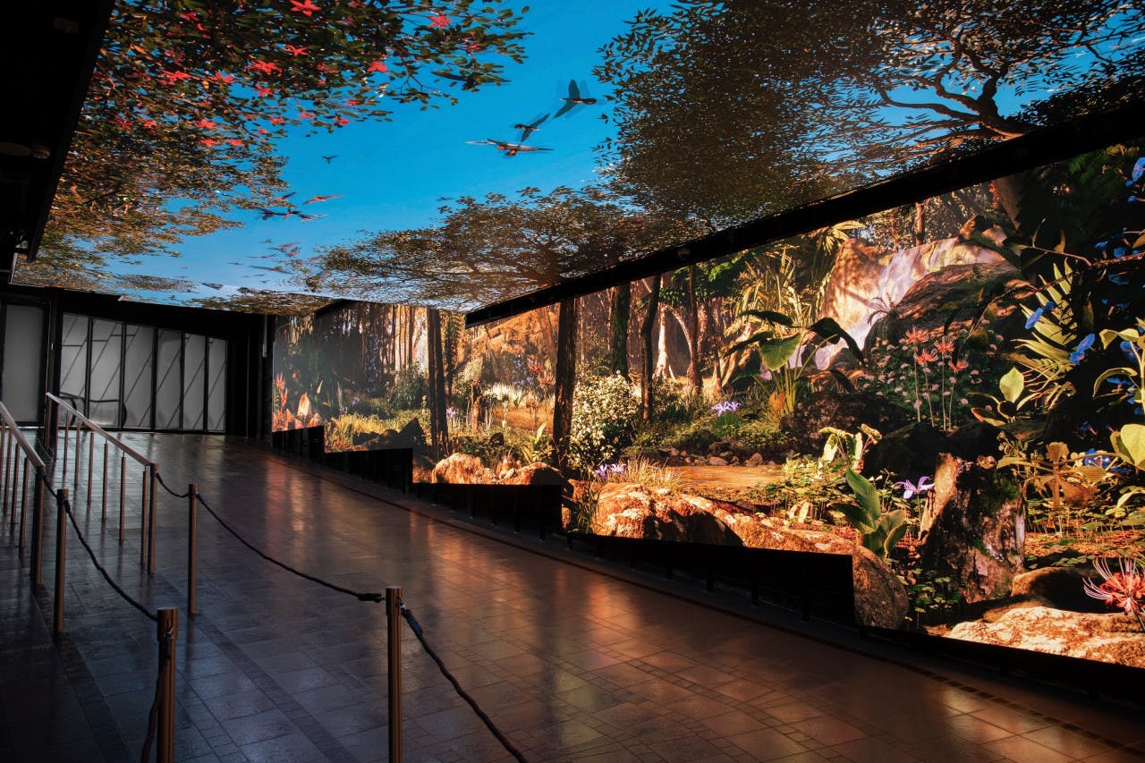 Hong Kong Peak Tram and Sky Terrace 428 Tickets 