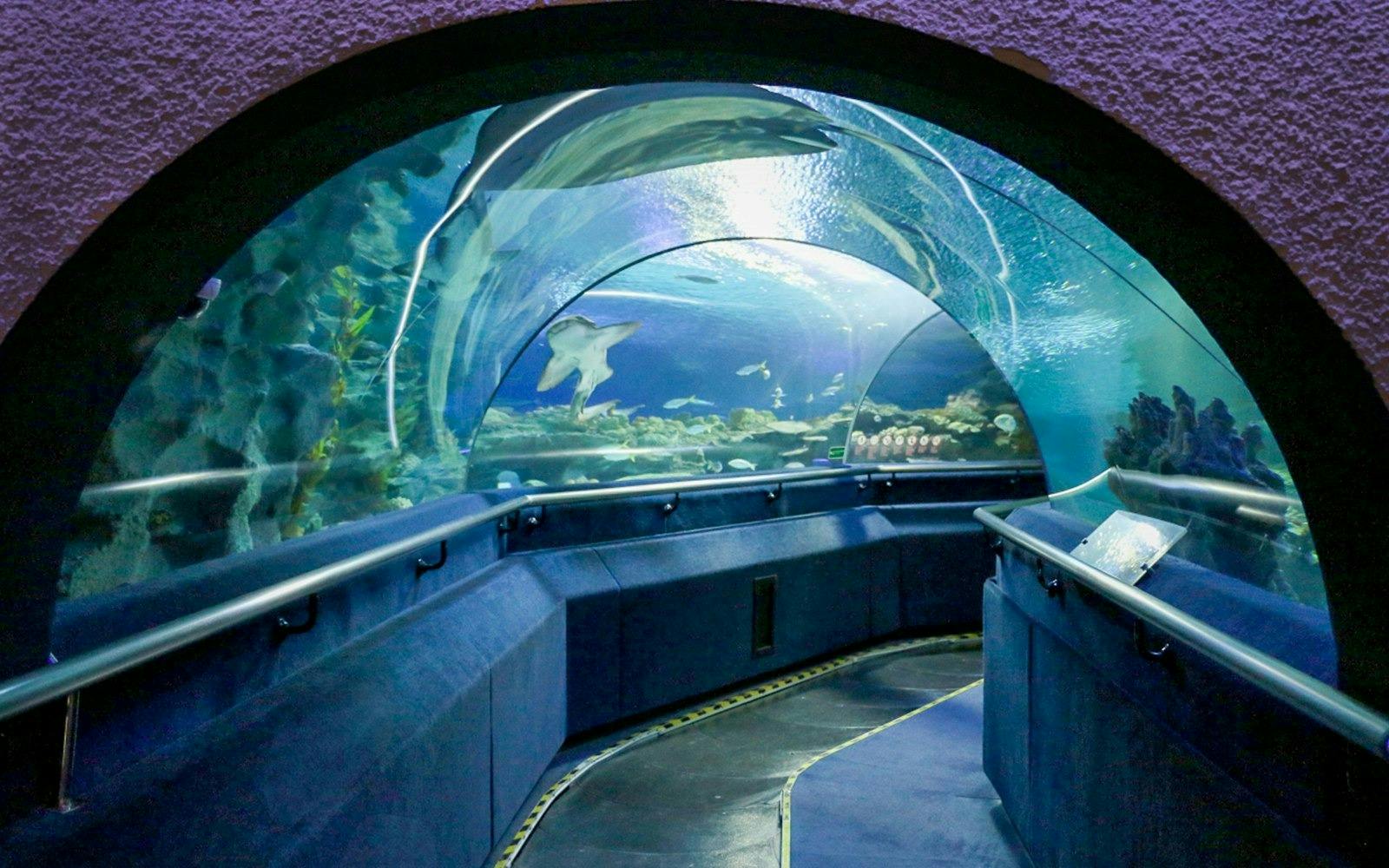 Aquaria KLCC Ticket 