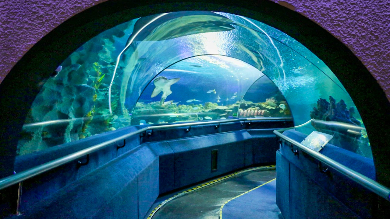 Aquaria KLCC Ticket