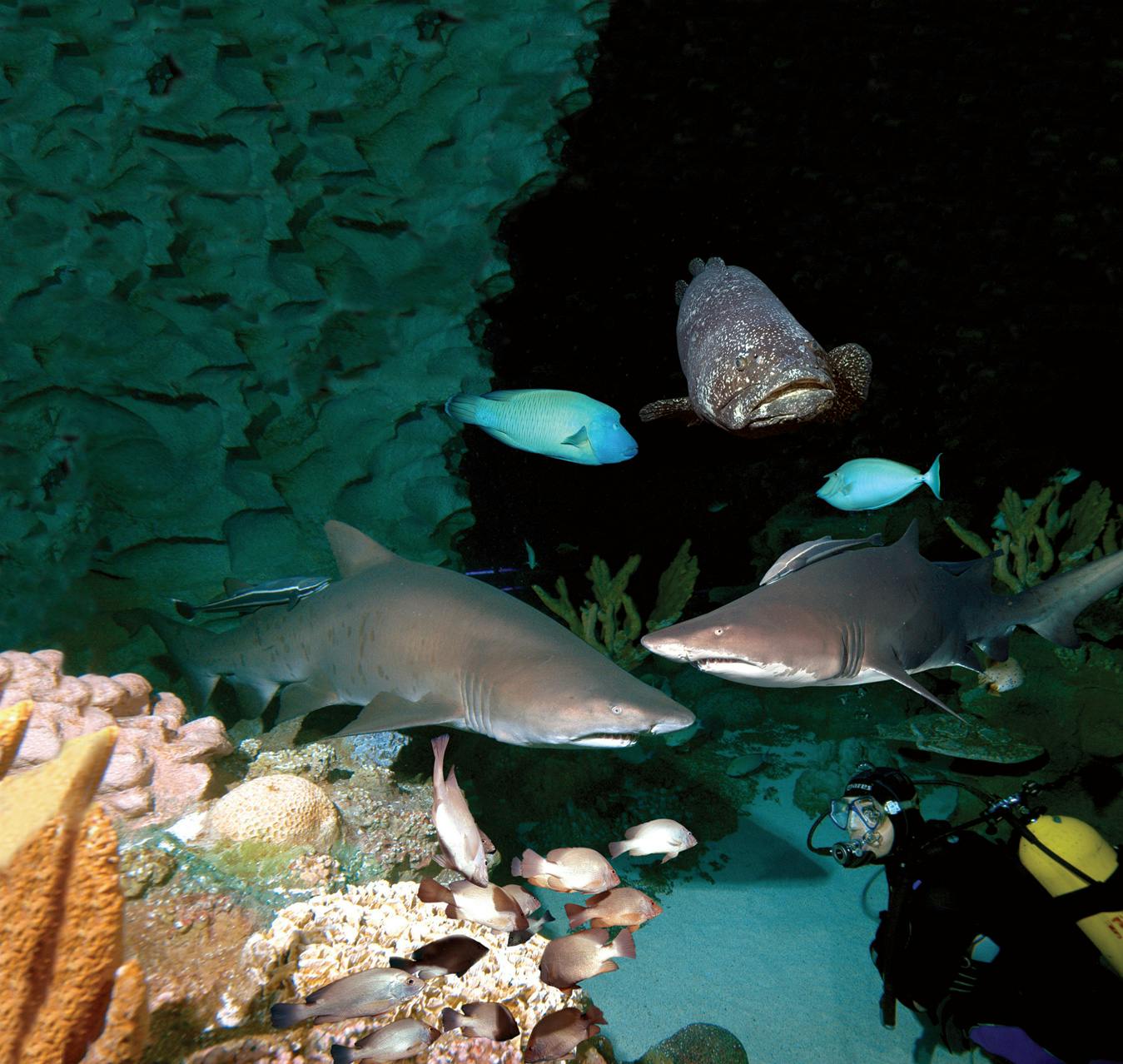 aquaria klcc ticket price