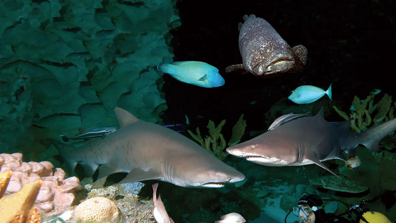 aquaria klcc ticket price