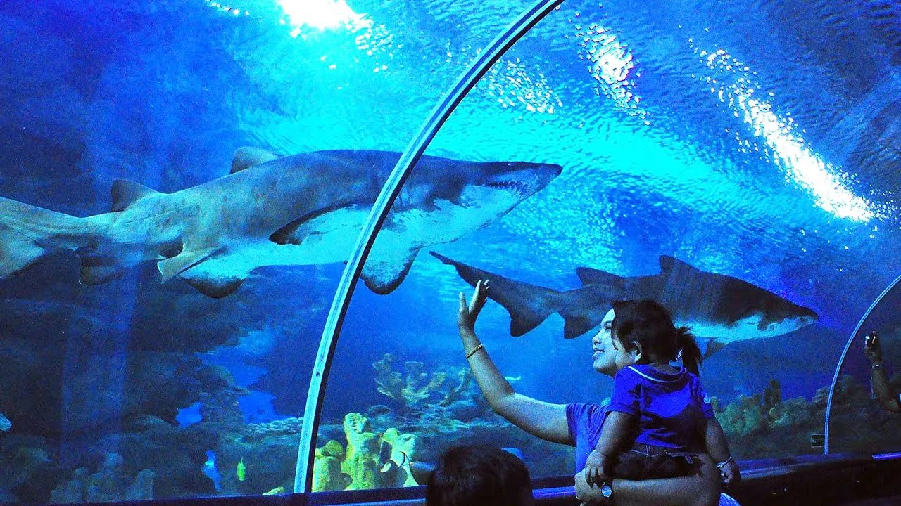 aquarium klcc