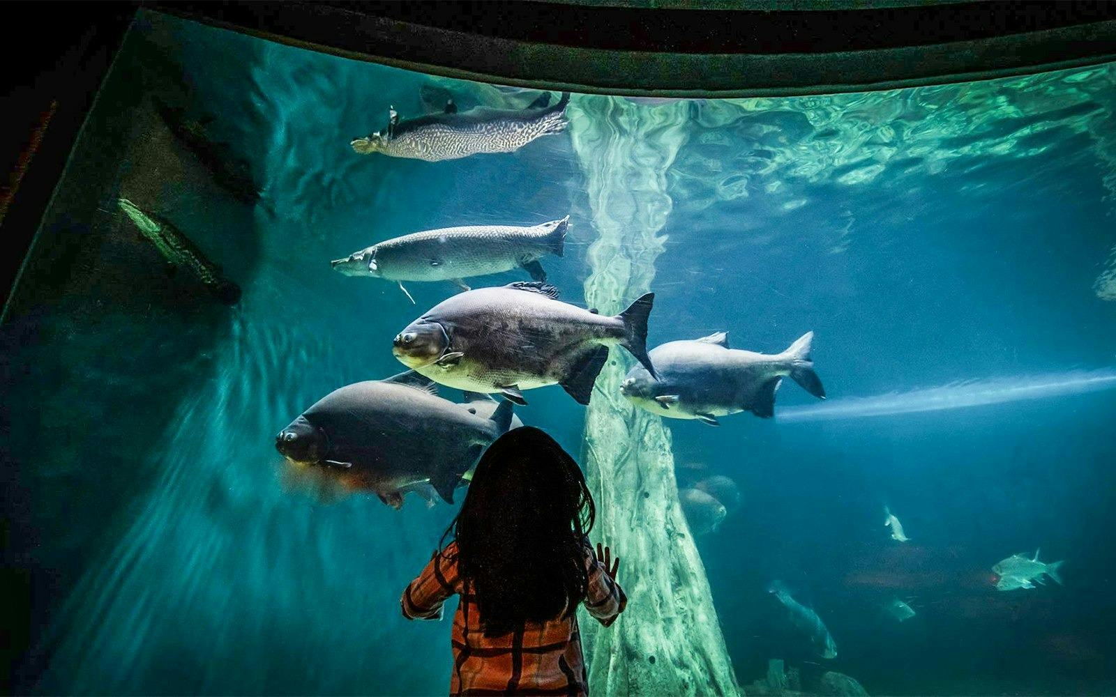 Aquaria KLCC Ticket Price