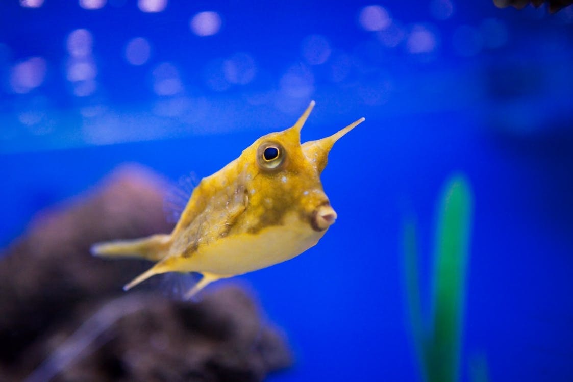 Underwater World Pattaya Location