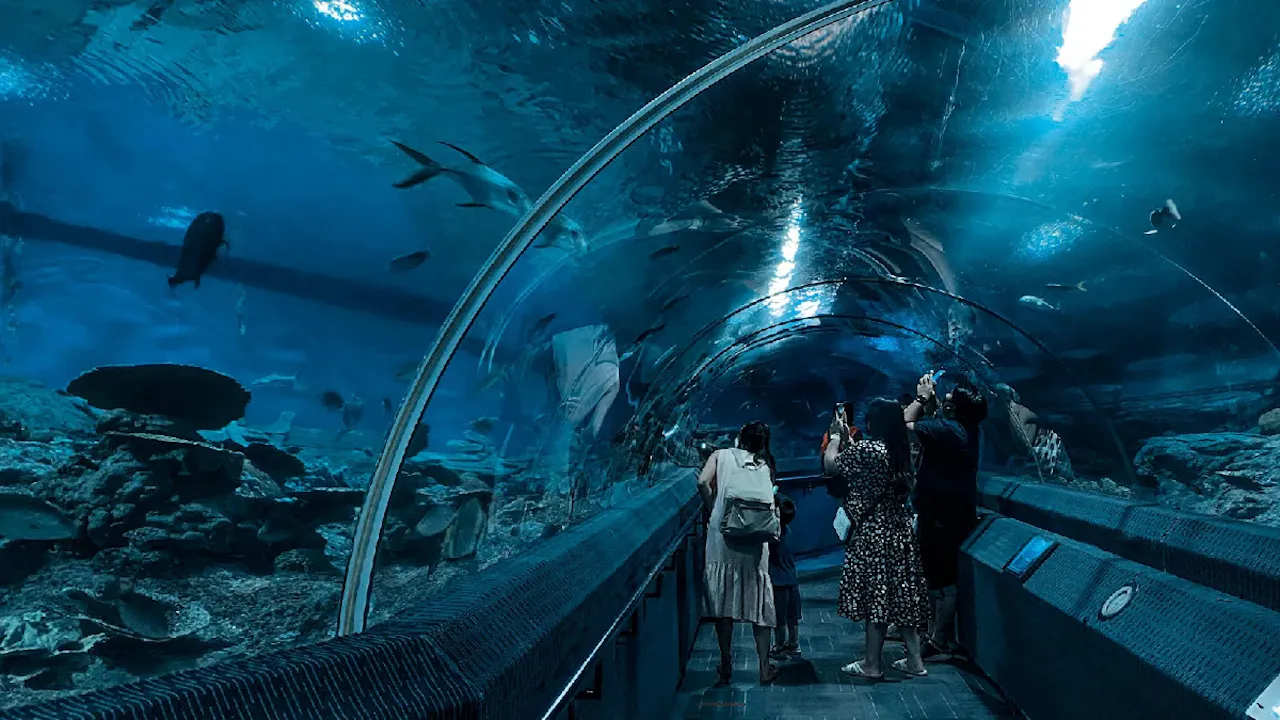 Underwater World Pattaya Tickets Price