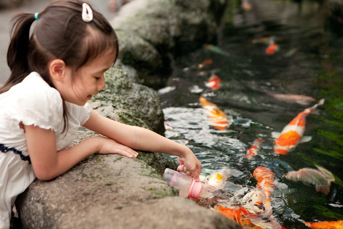 Underwater World Pattaya