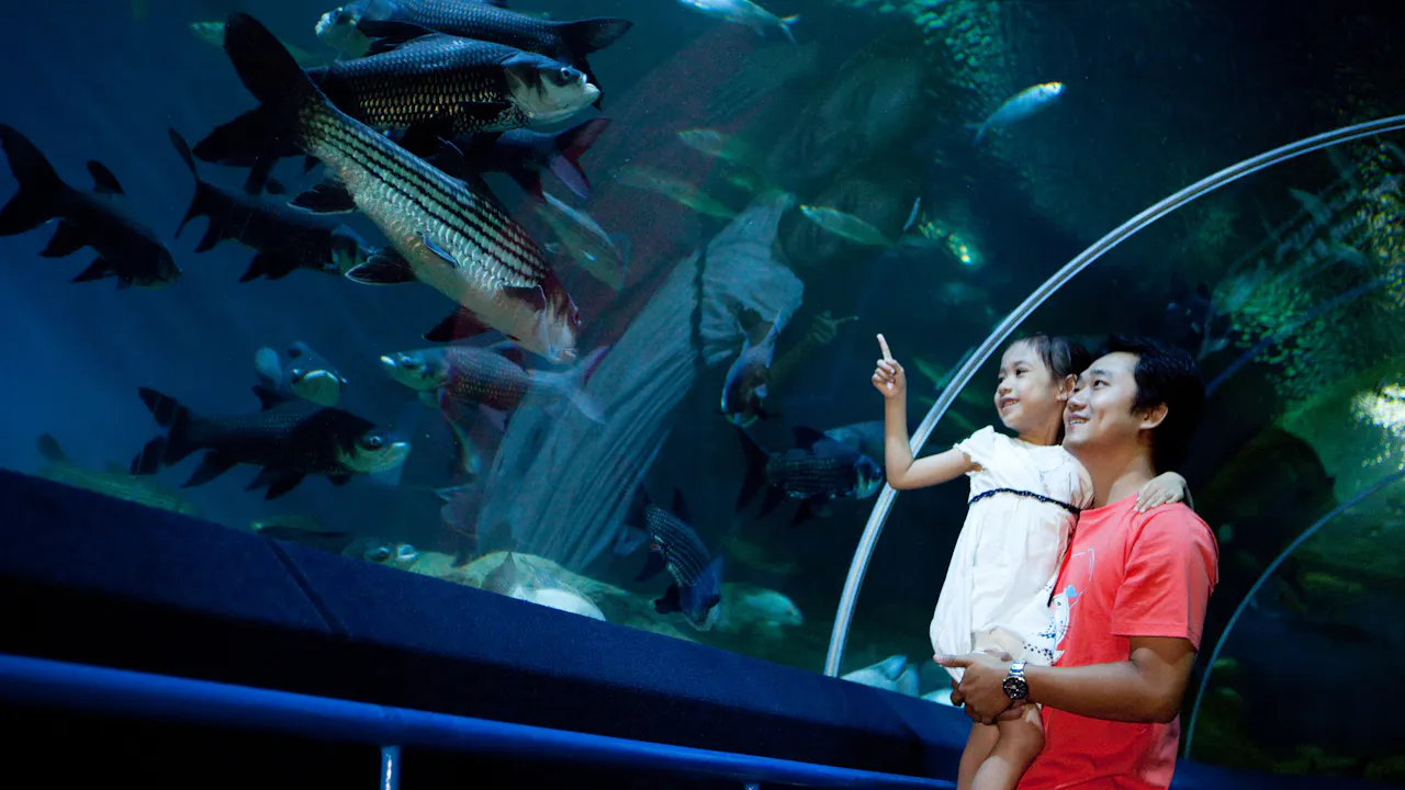 Underwater World Pattaya