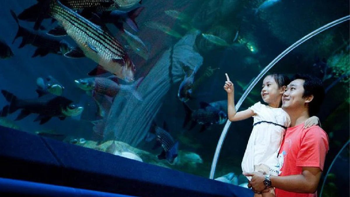 Underwater World Pattaya Tickets Location