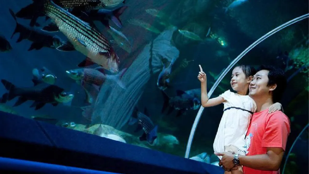 Underwater World Pattaya Tickets Location