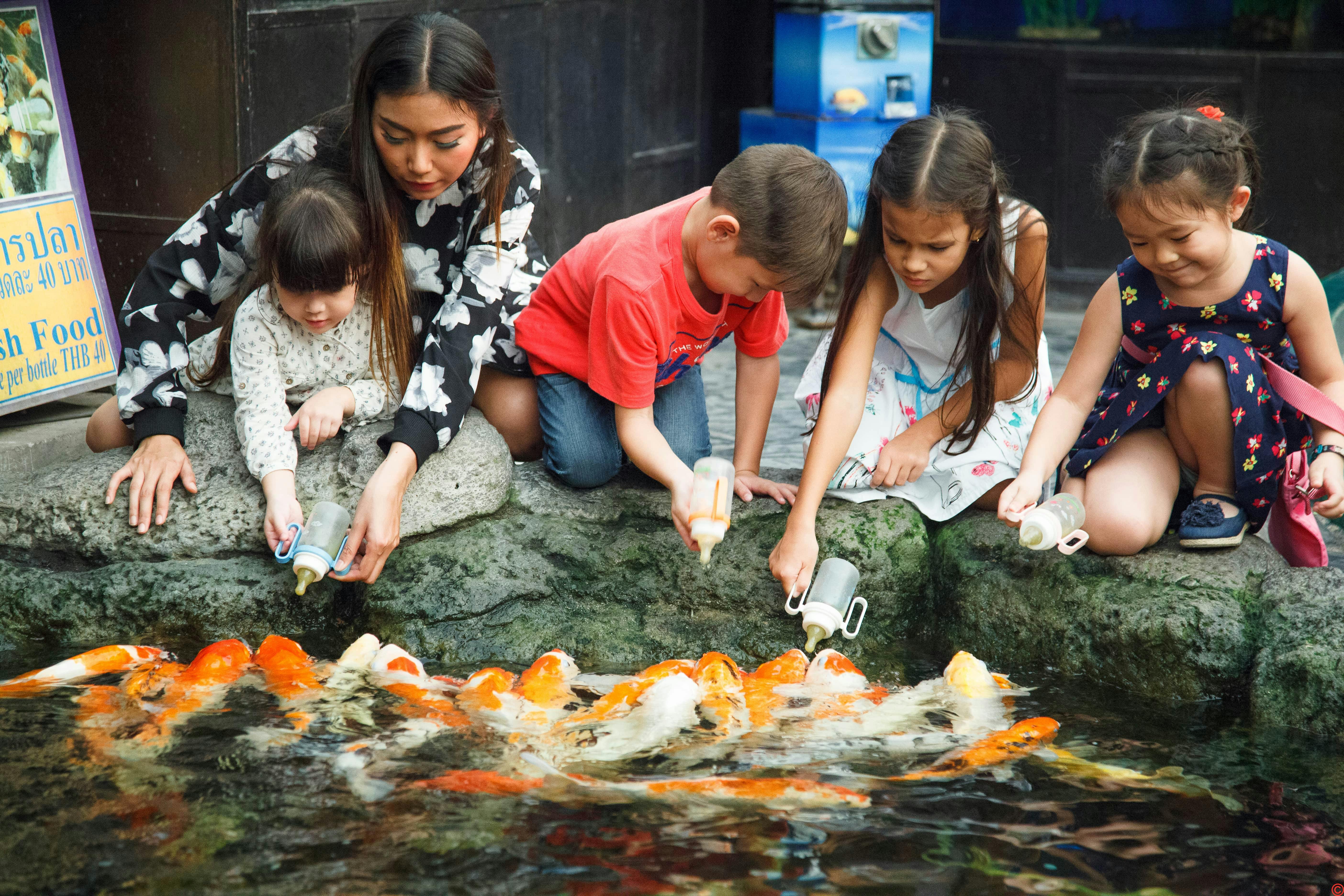 Underwater World Pattaya Price