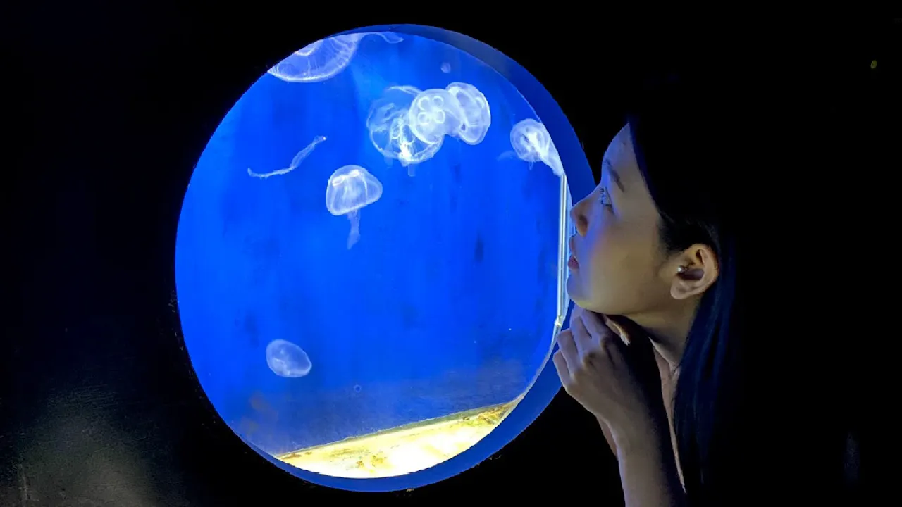 Underwater World Pattaya Tickets Ticket