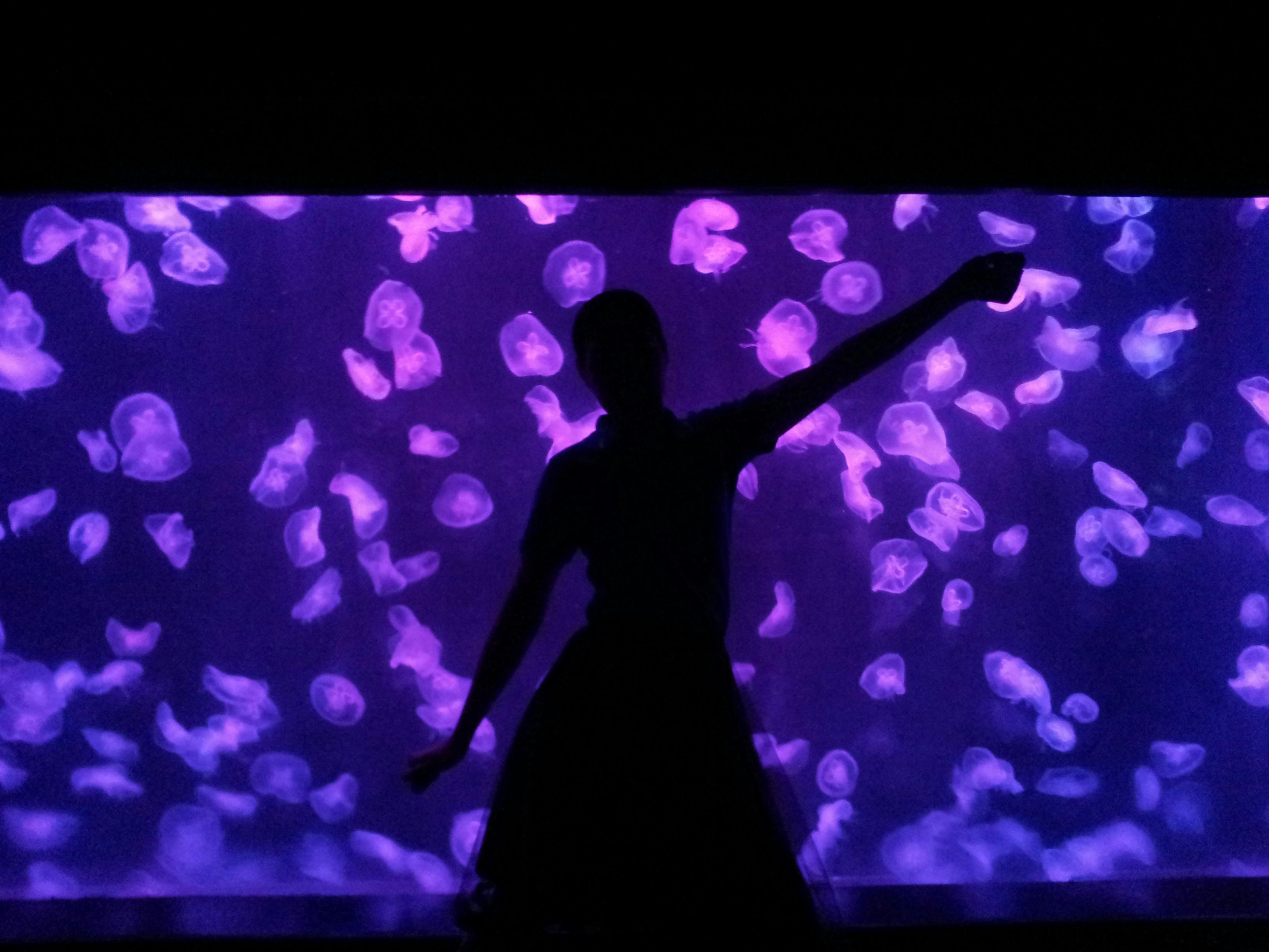 Underwater World Pattaya Discount