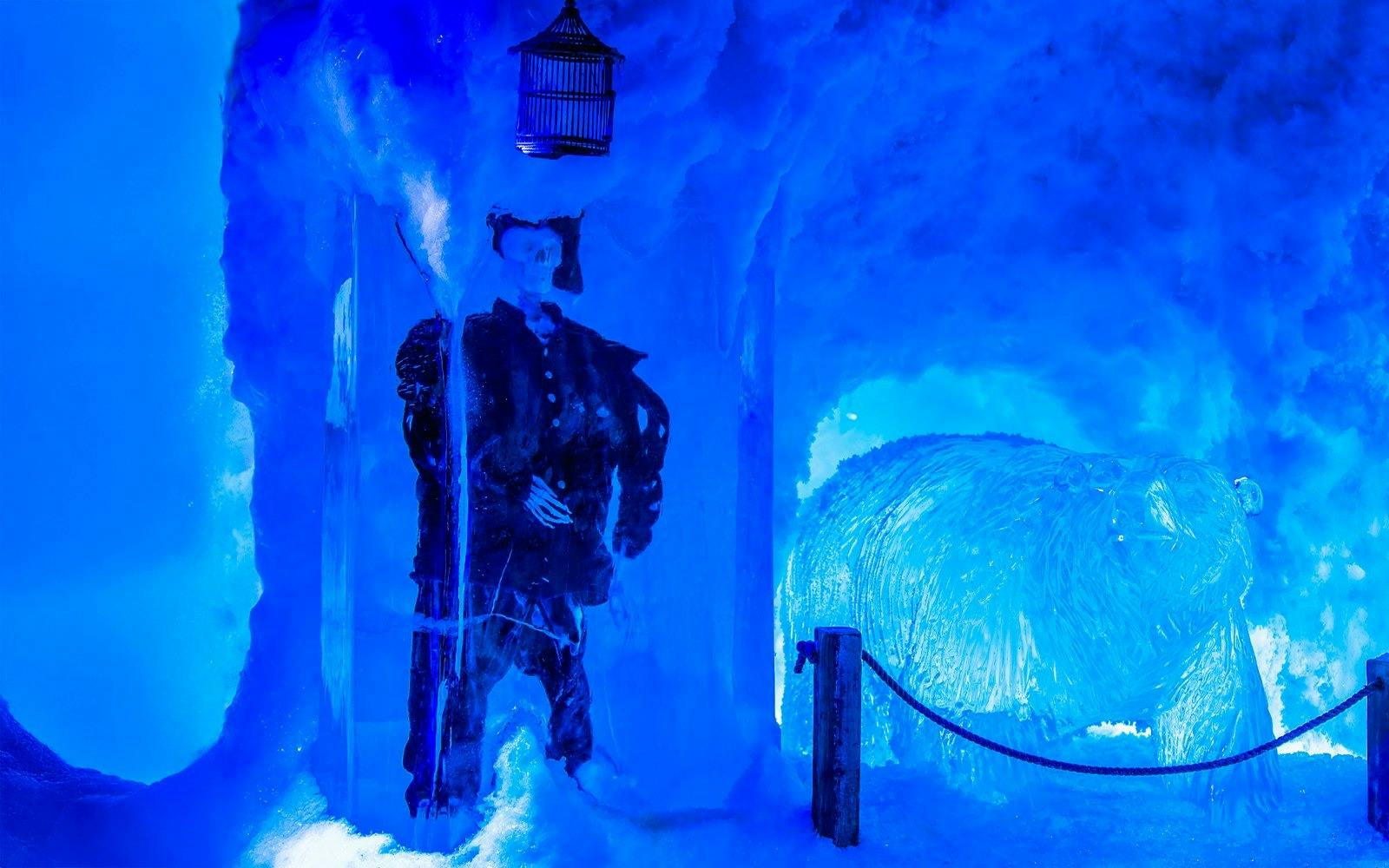 Amsterdam Icebar Tickets Category