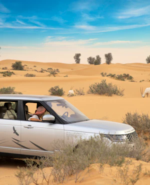 Platinum Desert Safari