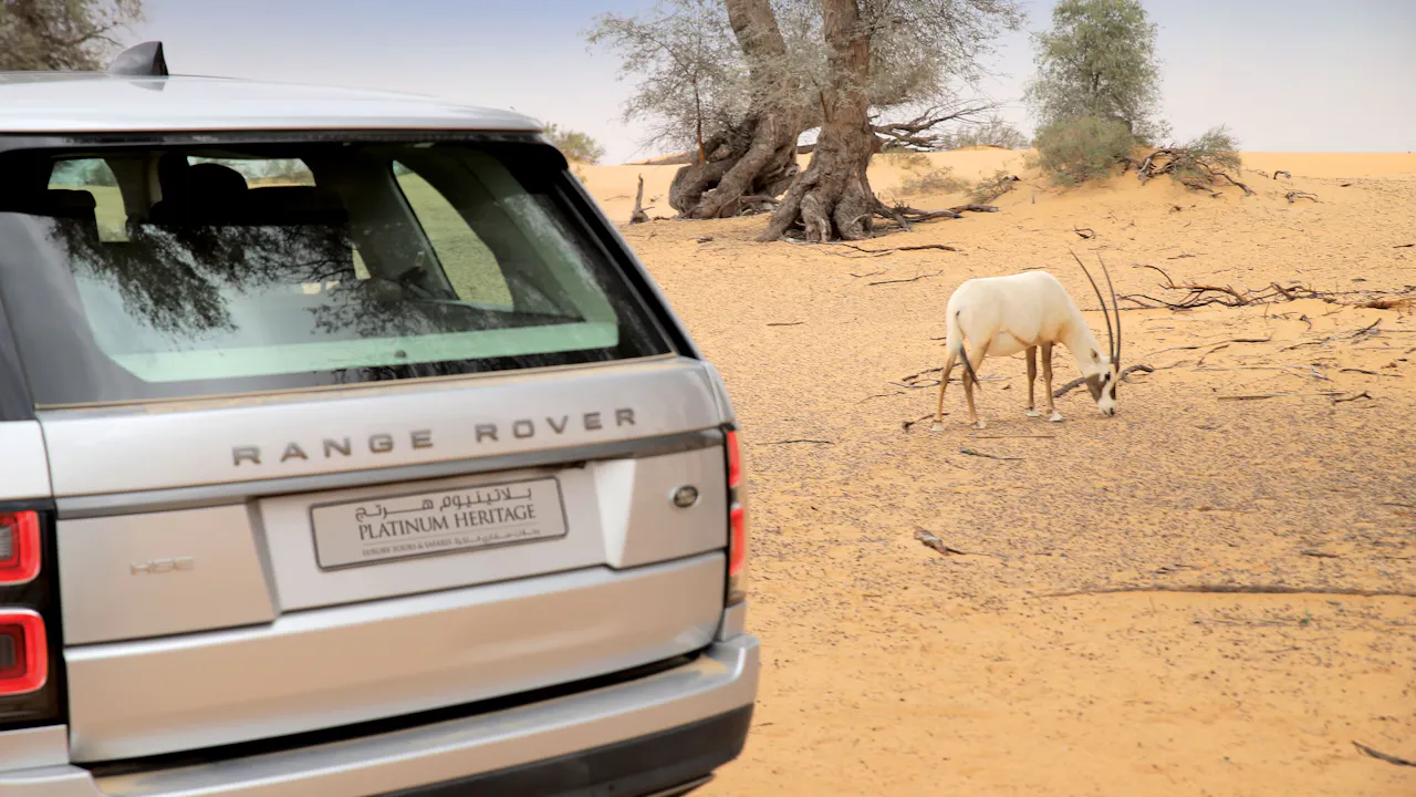 Platinum Desert Safari