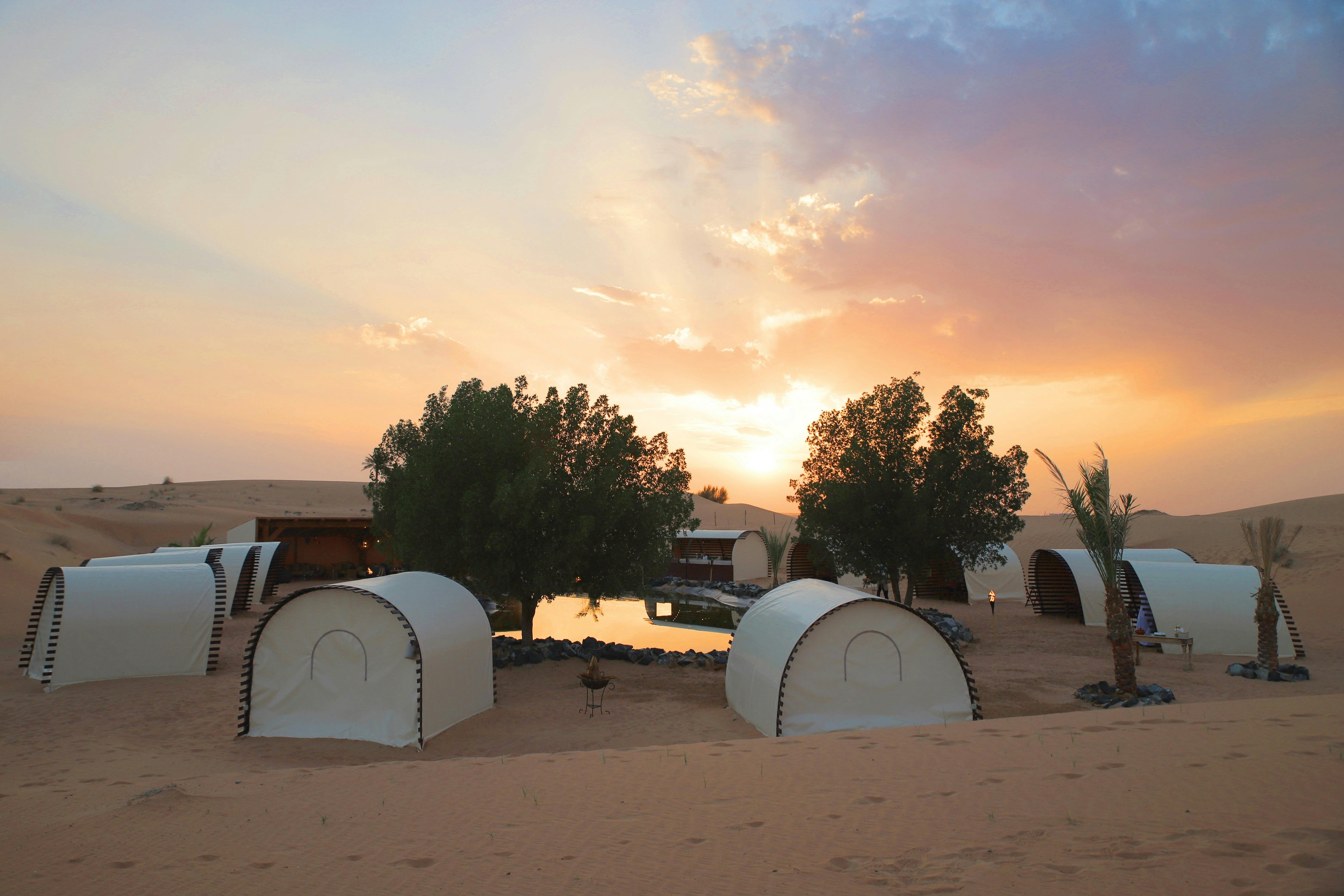 Platinum Desert Safari 